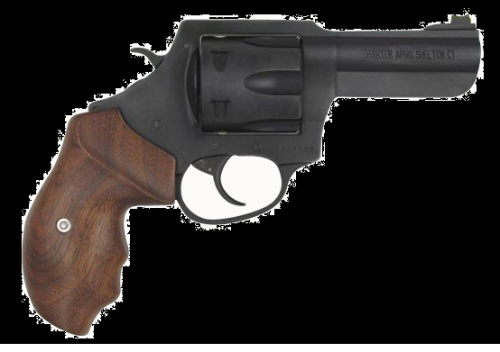 CHARTER ARMS THE PROFESSIONAL 357MAG 4.2"  