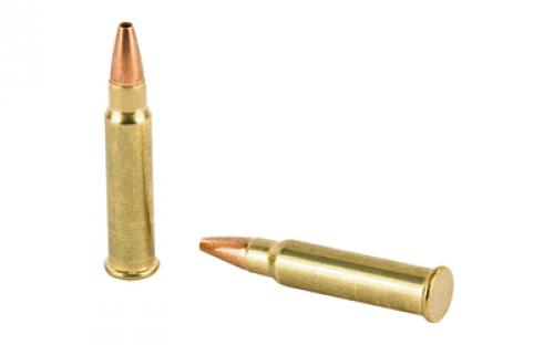 CCI TNT, 17 HMR, 17 Grain, Jacketed Hollow Point, 50 Round Box 53