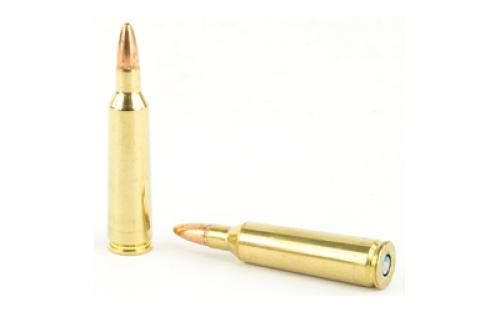 Federal American Eagle Varmint & Predator, 22-250, 50 Grain, Jacketed Hollow Point, 50 Round Box AE2225050VP