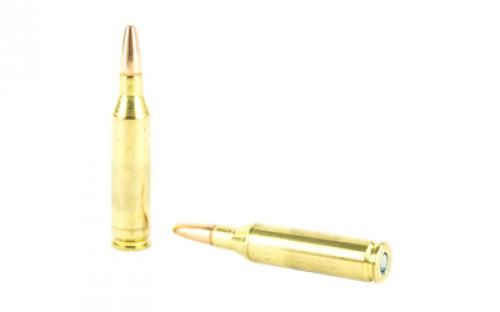 Federal American Eagle Varmint & Predator, 243 Win, 75 Grain, Jacketed Hollow Point, 40 Round Box AE24375VP