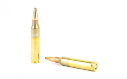 Federal Fusion, 223REM, 62 Grain, Soft Point, 20 Round Box F223MSR1