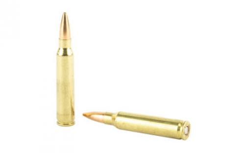 Federal Gold Medal Match, 223 Remington, 77 Grain, Boat Tail Hollow Point, 20 Round Box GM223M3