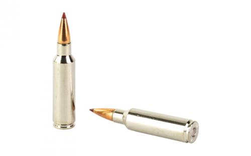 Hornady Outfitter, 300 Winchester Short Magnum, 180 Grain, CX, 20 Round Box 822034