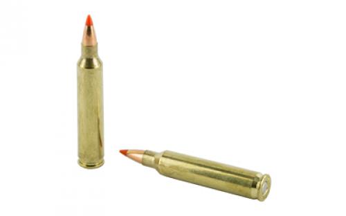 Hornady Superformance Varmint, 204 Ruger, 32 Grain, V-Max, 20 Round Box 83204