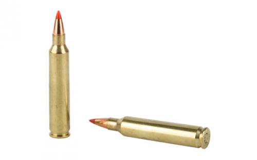 Hornady Superformance Varmint, 204 Ruger, 40 Grain, V-Max, 20 Round Box 83206