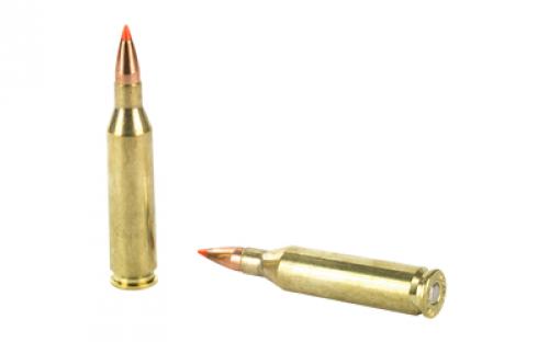 Hornady Superformance Varmint, 243WIN, 58 Grain, V-Max, 20 Round Box 8343