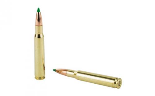 NOSLER Ballistic Tip Hunting, 30-06 Springfield, 165 Grain, Rifle Ammunition, 20 Round Box 40043