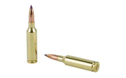 NOSLER Ballistic Tip Hunting, 6MM Creedmoor, 95 Grain, Rifle Ammunition, 20 Round Box 40052