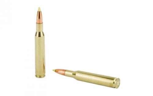 NOSLER Ballistic Tip Hunting, 270 Win, 140 Grain, Ballistic Tip, 20 Round Box 40055