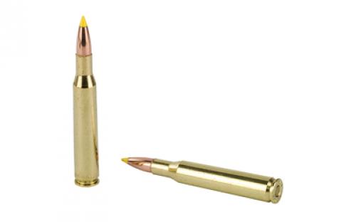 NOSLER Ballistic Tip Hunting, 270 Winchester, 130 Grain, Rifle Ammunition, 20 Round Box 40062