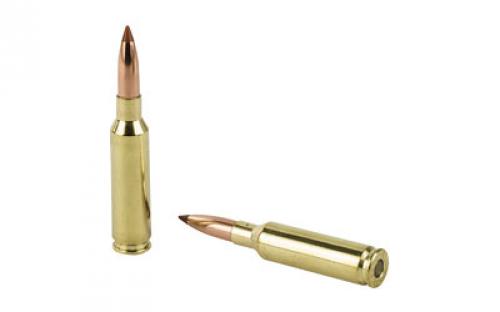 NOSLER Ballistic Tip Hunting, 6.5 Creedmoor, 120 Grain, Rifle Ammunition, 20 Round Box 42050