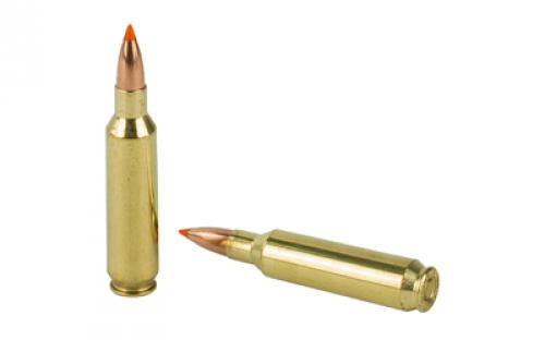 NOSLER Trophy, 22 Nosler, 55Gr, Ballistic Tip, 20 Round Box, California Certified Nonlead Ammunition 61030