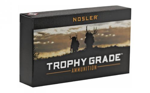 NOSLER Trophy Grade, 243 Winchester, 100 Grain, Partition, 20 Round Box 61046