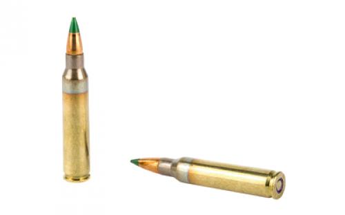 PMC XTAC, 556NATO, 62 Grain, LAP, 20 Round Box, Green Tip 5.56K