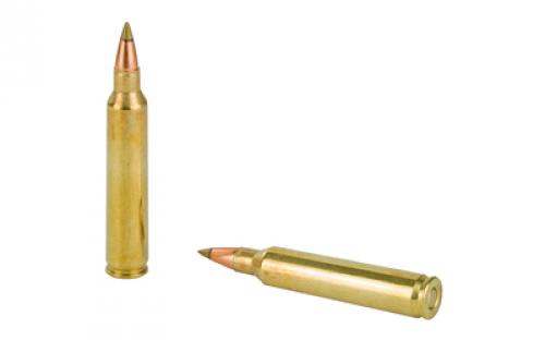 Remington Premier Accutip, 204 Ruger, 32 Grain, Accutip, 20 Round Box 29218