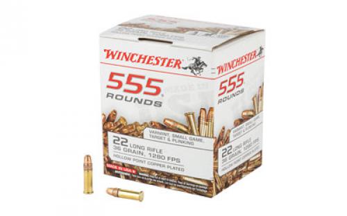 Winchester Ammunition Rimfire, 22LR, 36 Grain, Hollow Point, 555 Round Brick 22LR555HP