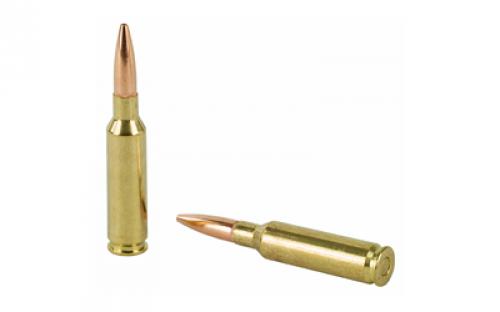 Winchester Ammunition USA, 6.5 Creedmoor, 125 Grain, Open Tip, 60 Round Box USA65CMVP