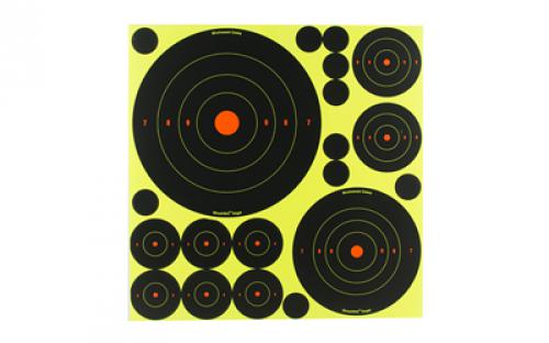 Birchwood Casey Shoot-N-C Target, Deluxe Variety Kit, 40-1 Pasters, 24-2, 8-3, 4-6, 4-8 Bullseye Targets, with Target Stand BC-34208