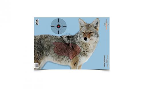 Birchwood Casey Pregame Target, Target With Visible Vitals, Coyote, 16.5x24, 3 Targets BC-35405