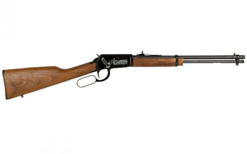 Rossi Rio Bravo, Lever Action, 22 LR, 18" Barrel, Adjustable Sights, Wood Stock, "Life, Liberty, and the Pursuit of Happiness" Engraved on Receiver, 15 Rounds RL22181WD-EN19