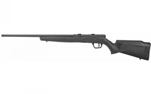 Savage B17, Bolt, 17HMR, 21, Black, Synthetic, Right Hand, 10Rd Rotary Magazine, Button-Rifled, 10Rd, AccuTrigger 70800