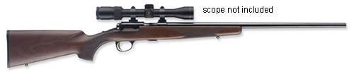 BROWNING T-BOLT 17HMR SPORTER BL/WALNUT  