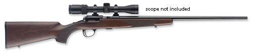 BROWNING T-BOLT 22LR SPORTER BL/WALNUT  